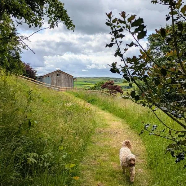 The Fold - Unique Cabin Nestled in Nature、Llangernywのホテル