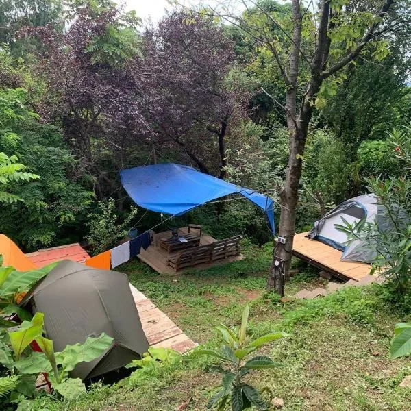 Forest & Sea Campsite, hotel in Tsikhisdziri