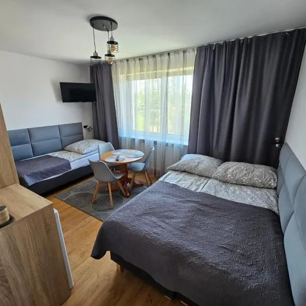 Pensjonat Delfin，位于济夫努夫的酒店