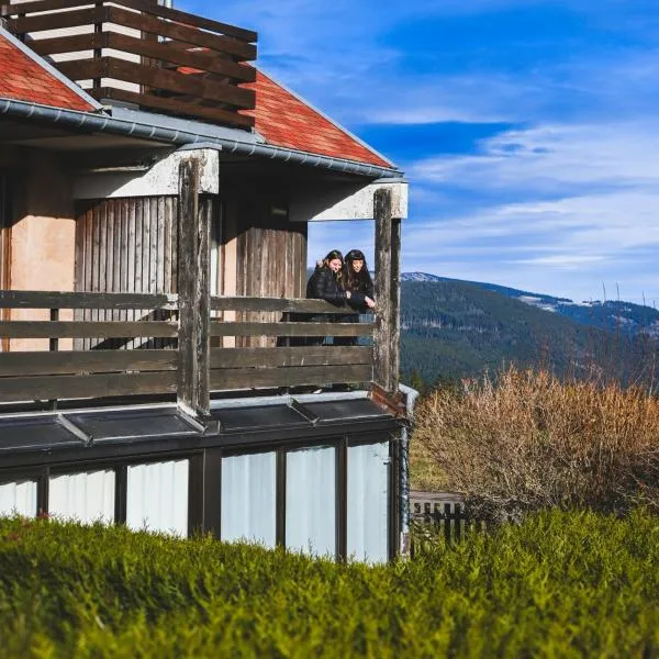 Le Motel du Gaschney, hotel in Muhlbach-sur-Munster