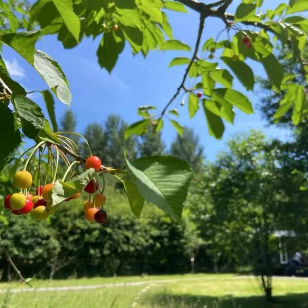Bell Nook- Shepherd's hut with a spacious wood-fired hot tub、トンブリッジのホテル