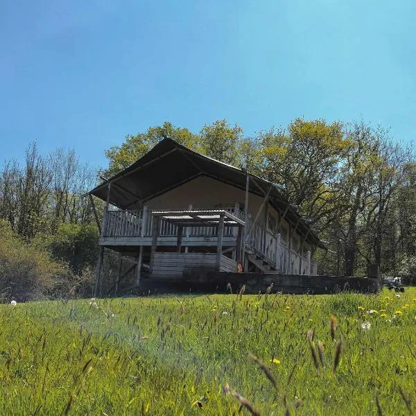 Beara Lodge Glamping, hotel in Beaworthy