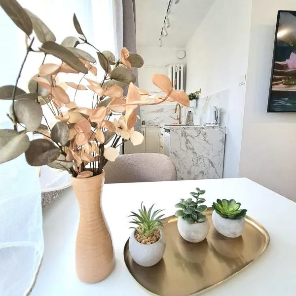 Apartament Dominikanski, hotel en Racibórz