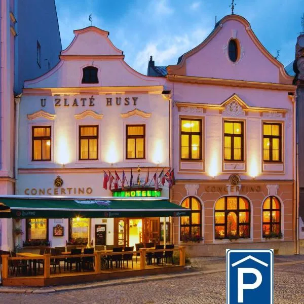 Hotel Concertino Zlatá Husa, hotel a Jindřichŭv Hradec