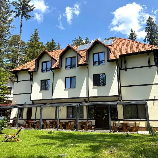 Berghof Eva - Hotel, Hotel in Panichishte