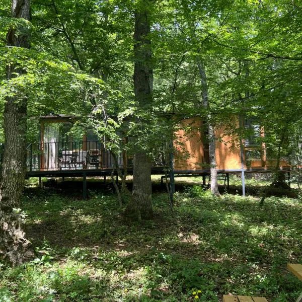Nina's winery forest house in Kiketi, hotell sihtkohas Tbilisi City