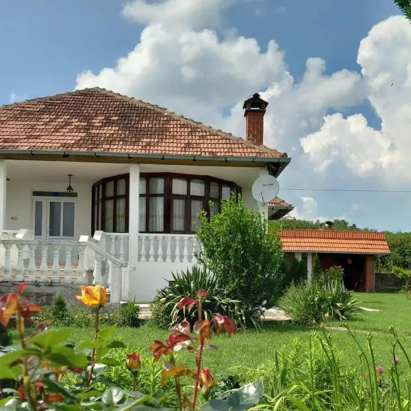 Apartmani Ćosić, hotel in Kuršumlija