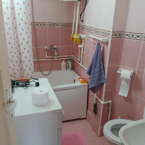 Apartman Markovic, hotel in Vranje