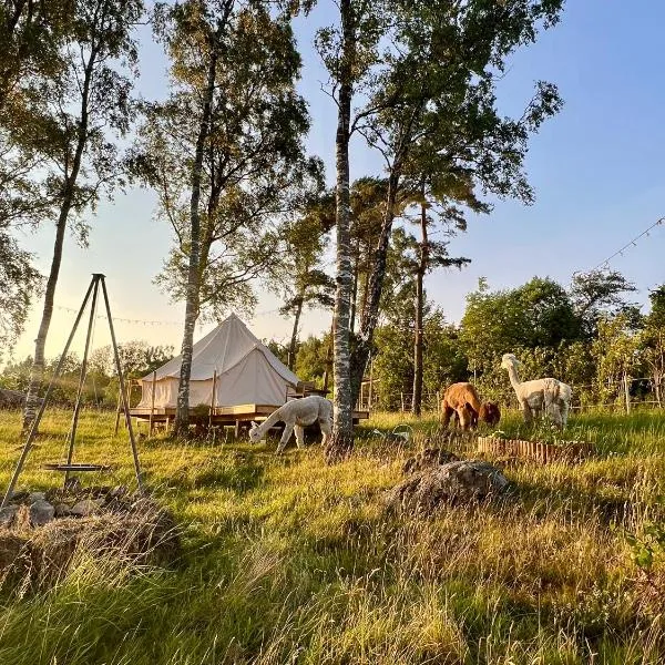 Glamping med alpackor, hotel in Laholm