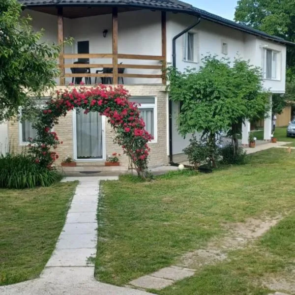 Casa Pandrea, Hotel in Cîrţişoara