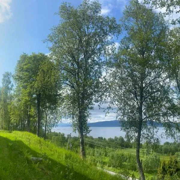 Bed and Breakfast Nordic Horn, hôtel à Brostadbotn