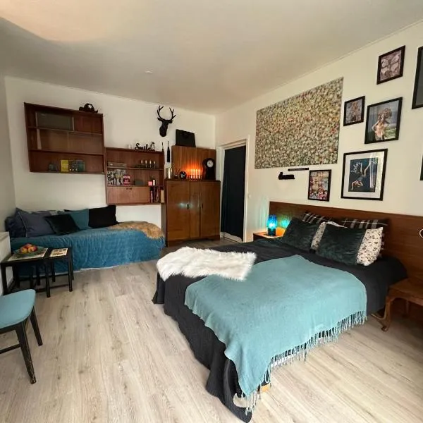 Hobro guesthouse, hotel en Hobro