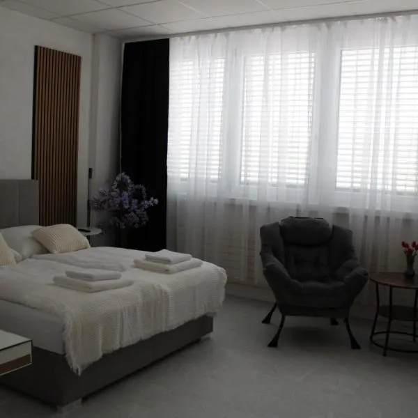 Viesnīca Résidence Appartment Gebenstorf pilsētā Gebenstorf