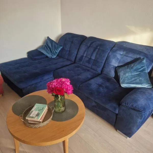 Pušų lašas apartamentai, Hotel in Birštonas