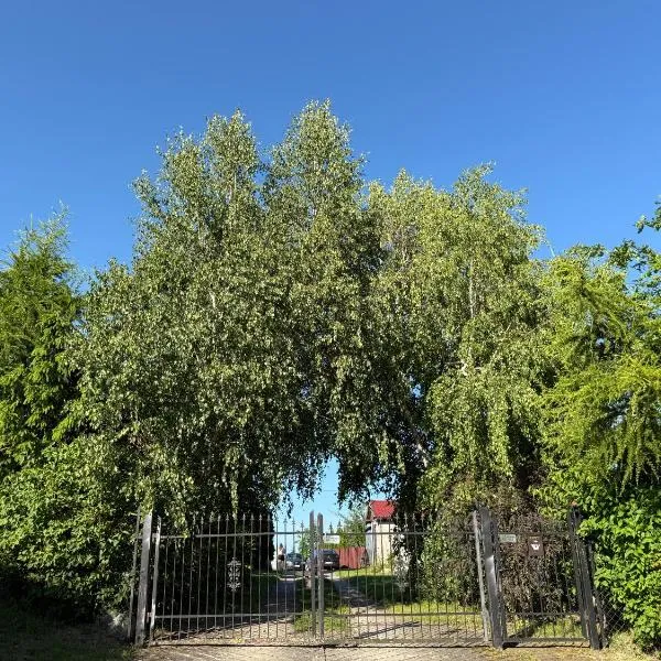 U Magdy nad Tałtami I, ξενοδοχείο σε Tałty