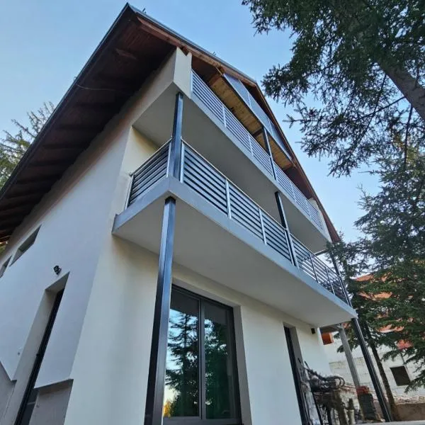 Apartman Flora Vlasic, hotel di Vlasic