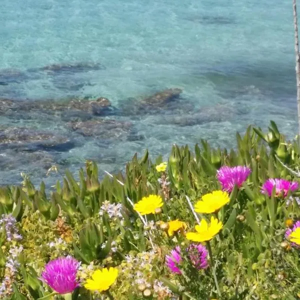 Rachel Hotel – hotel w miejscowości Agia Marina