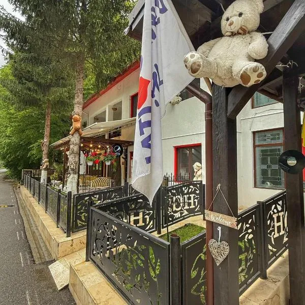 Hotel Gâlma, hotel in Moroeni