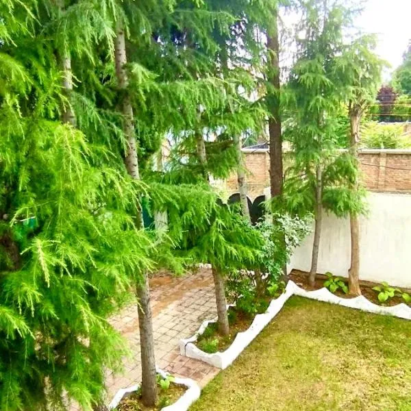 Greenoriva - D2 - Greenery & Peace, hotel en Srinagar