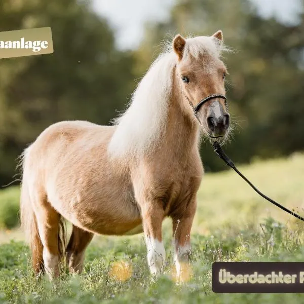 Ferienwohnung Silvia, ξενοδοχείο σε Sankt Kanzian