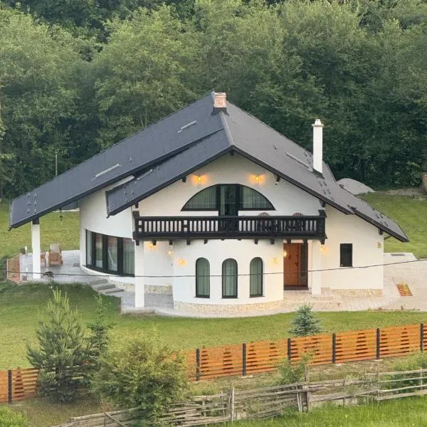 Julien House, Hotel in Prisaca Dornei