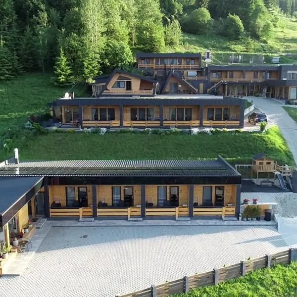 Panoramic Residence, hotel in Borşa