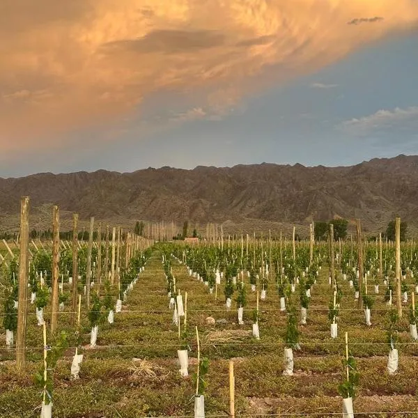 El Refugio, hotel v destinaci Calingasta