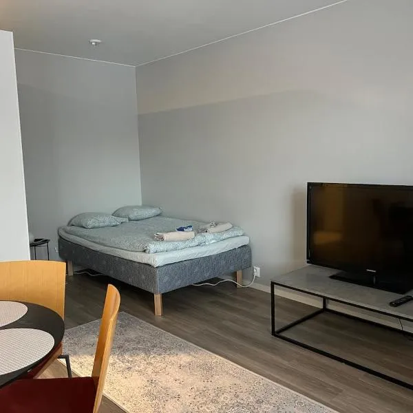 Mäntynäädänkadun yksiö, hotel in Kokkola