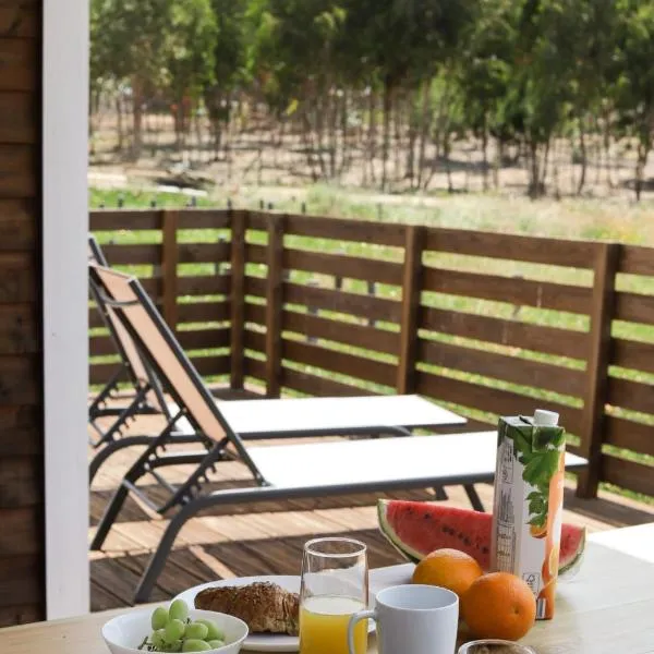 Casa Silva, Hotel in Zambujeira do Mar