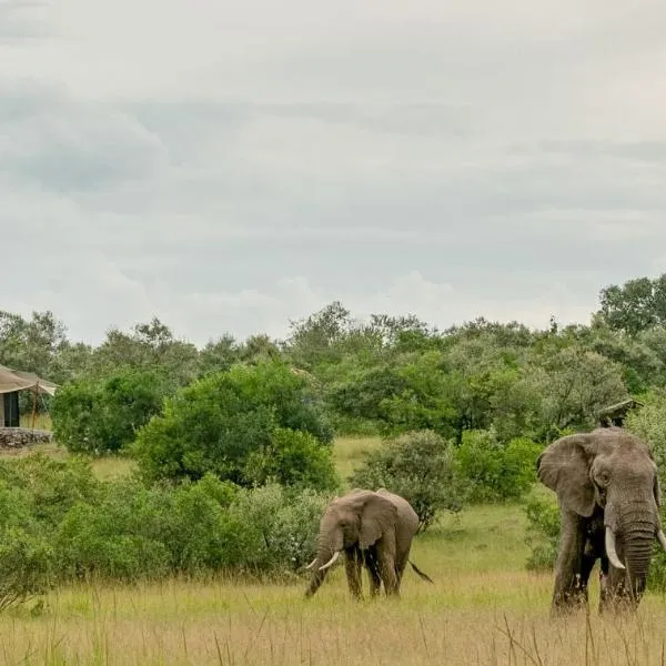 Mattikoko Safari Camp, hotel sa Aitong
