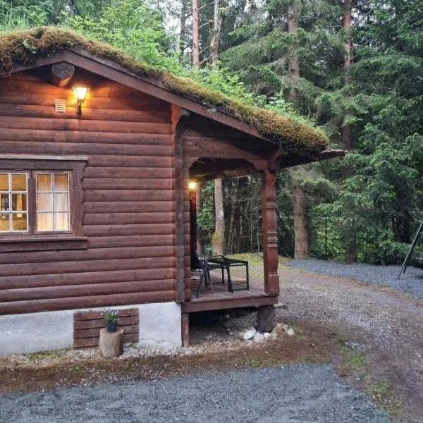 Skogshytte, ξενοδοχείο σε Holmøyane