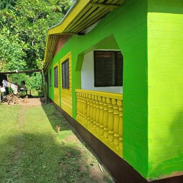 Vurevure Homestay Explorer – hotel 