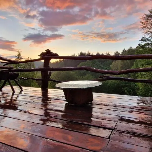 Beauty Wood House in The Forest、Vîlcăneştiのホテル