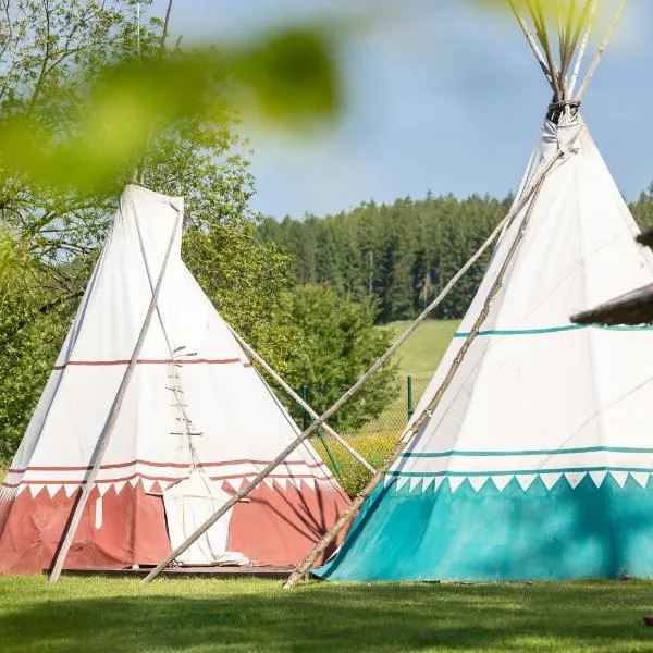Teepee a karavanové stání Koupálo Janovičky, hotel in Heřmánkovice