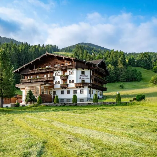 Pension Schneerose - Wildschönau - PREMIUM CARD im Sommer, Hotel in Wildschönau