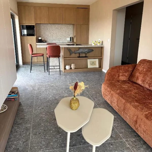 Trendy modern appartement，位于尼乌波特的酒店