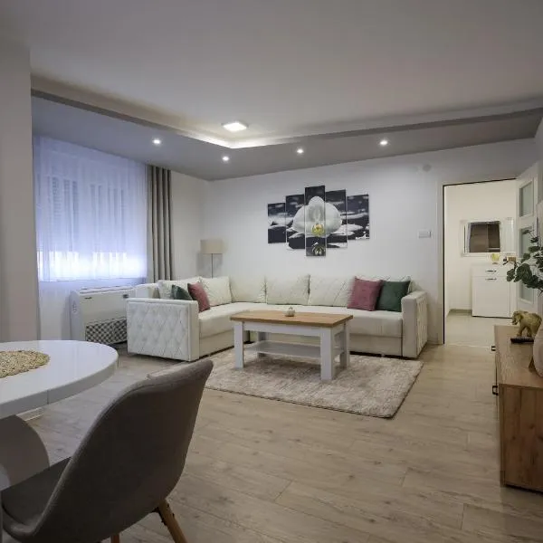 Apartmani Lepojevic, hotel v destinaci Prokuplje