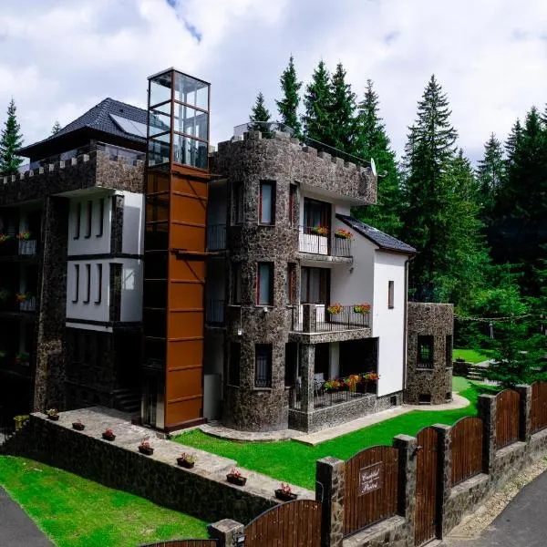 Castelul de Piatra, hotel en Păltiniş