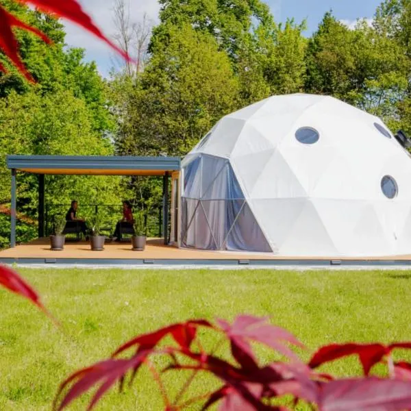 Cozy Fizio Dome, hôtel à Gradišče v Slovenskih Goricah