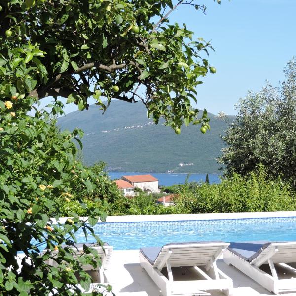 Bella Apartments, Sušići