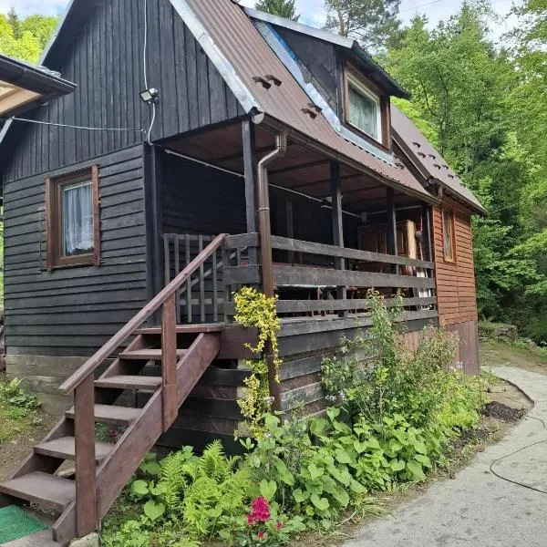 Duży drewniany domek nad rzeką, Obidza 381, Łącko, hotel v destinaci Obidza