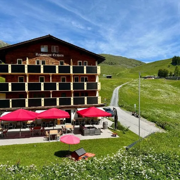 Erzhorn, hótel í Arosa