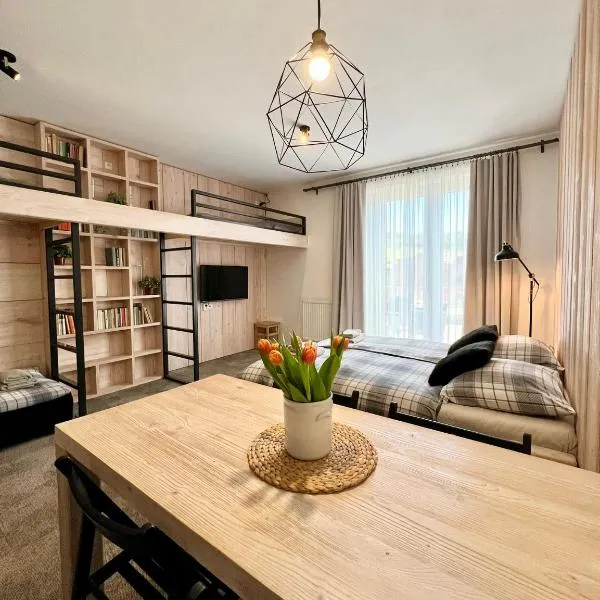 Apartmány na sjezdovce Dolní Morava, hotel in Dolní Morava