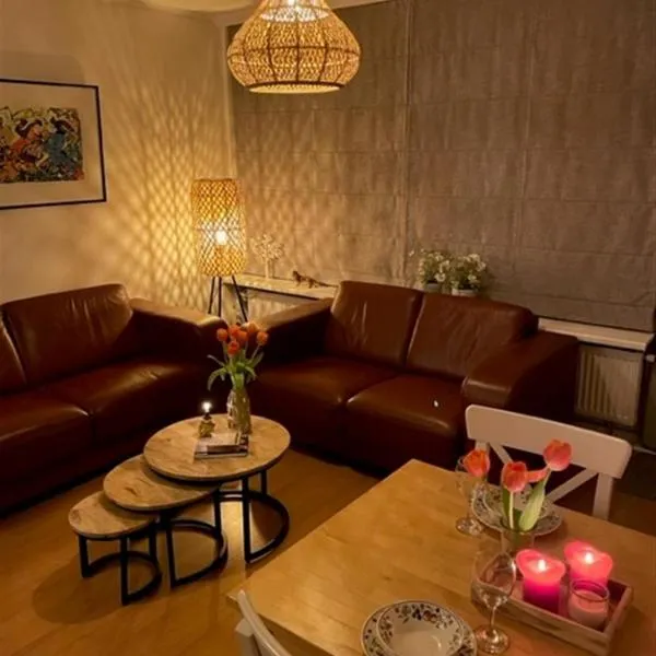 Appartementen Zuiderstrand H, hôtel à Westkapelle