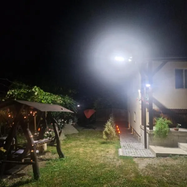 Casa Larisa, hôtel à Bîrsău