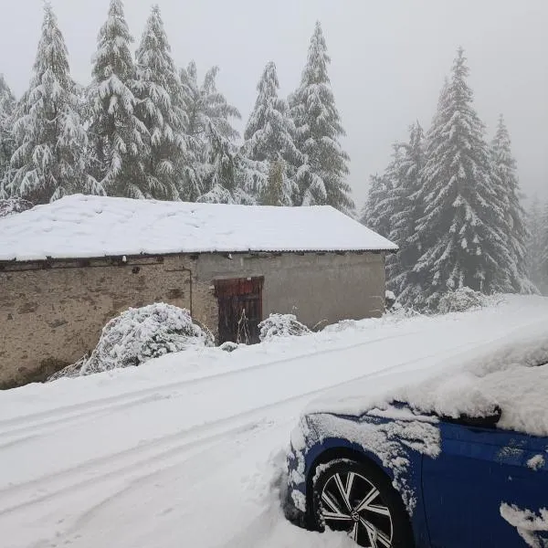 Casa Richardette Relax in the Woods, hotel v destinaci Sauze d'Oulx