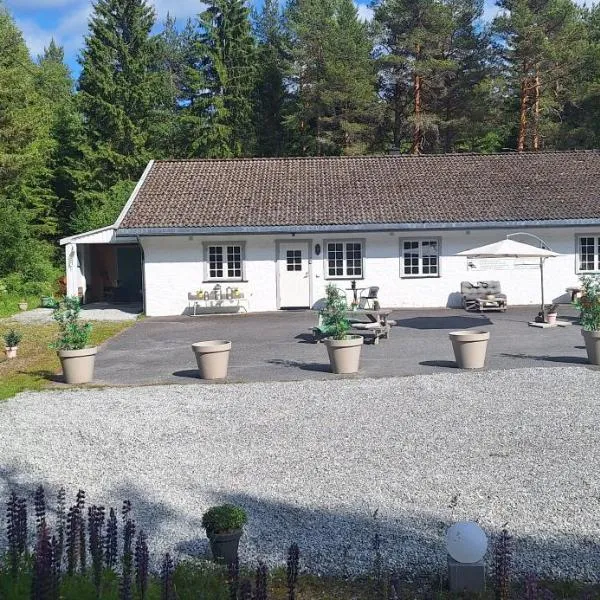 Telemark Motel, ξενοδοχείο σε Hauggrend