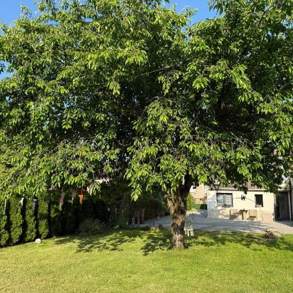 U Elinky, Hotel in Karlsbad