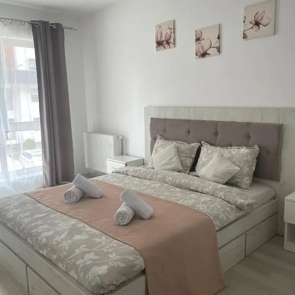 Selina Apart Transilvania Brasov, hotel in Braşov