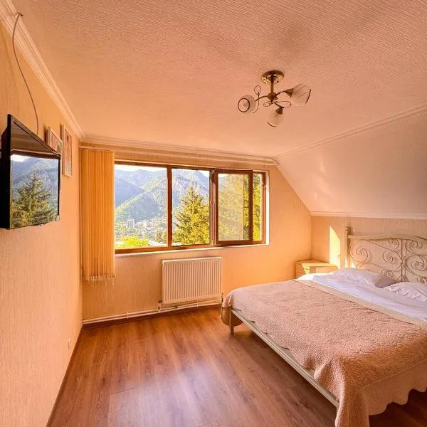 Hotel forest echo，位于博尔若米的酒店